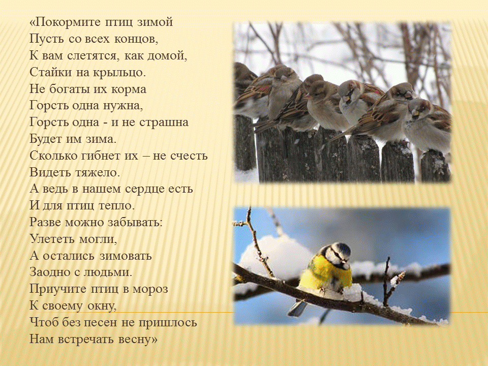 Как сделать чтобы волосы легче расчесывались Как сделать чтобы волосы легче расчесывались